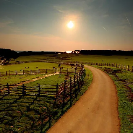Magnificent In Istria