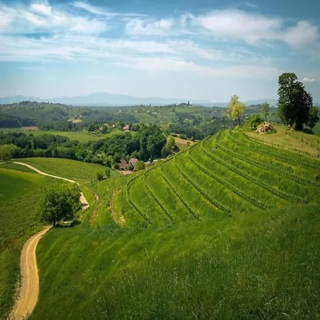 Holiday home Magnificent In Istria